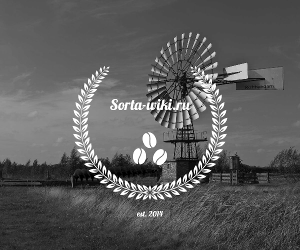 Логотип энциклопедии сортов sorta-wiki.ru Логотип энциклопедии сортов sorta-wiki.ru